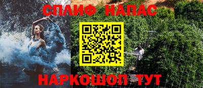 амф Донской