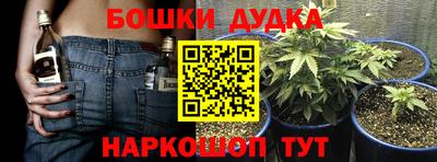 амф Донской