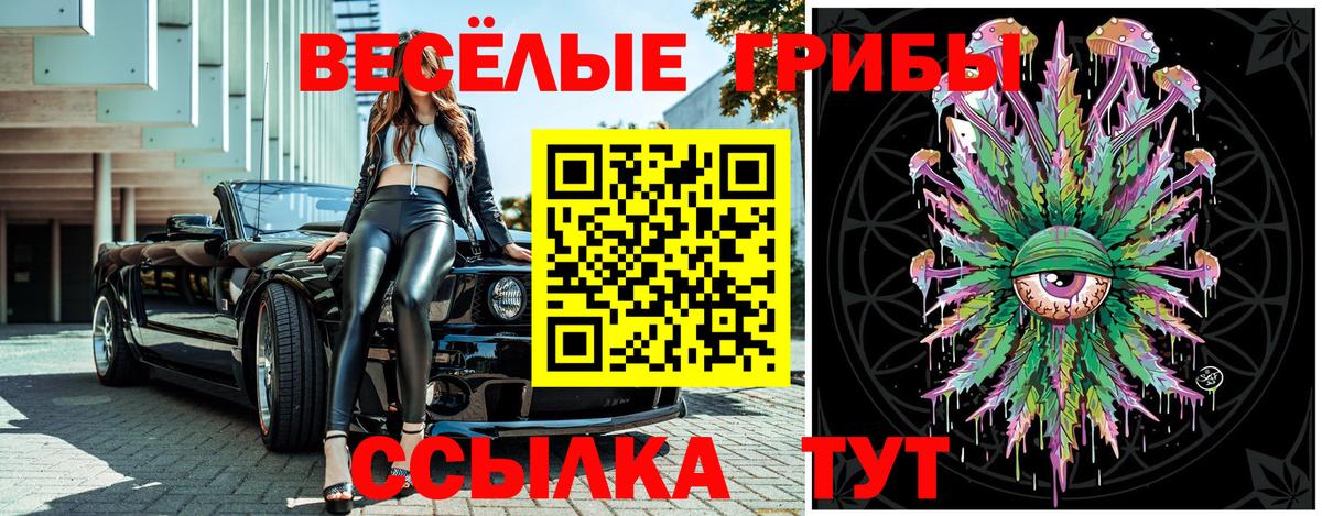 Псилоцибиновые грибы мицелий  Галлюциногенные грибы Cubensis  Дагестанские Огни  Вход с VPN 